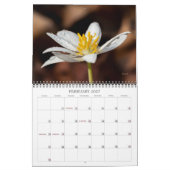Calendrier fleur sauvage #2 (Feb 2027)