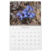 Calendrier fleur sauvage #2 (Mar 2026)