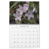 Calendrier fleur sauvage #2 (Jan 2026)