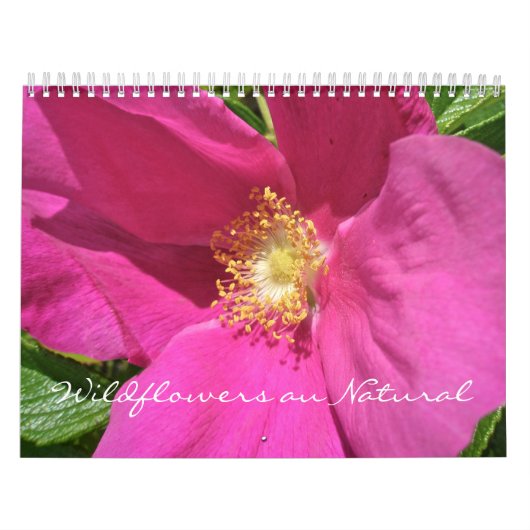 Calendrier - Fleur sauvage au naturel (Protection)
