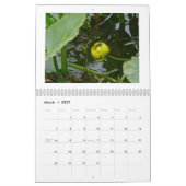 Calendrier - Fleur sauvage au naturel (Mar 2027)