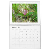 Calendrier - Fleur sauvage au naturel (Feb 2027)