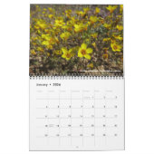 Calendrier Fleur sauvage de la forêt nationale de Los Padres (Jan 2026)