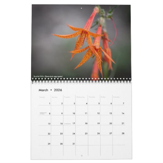 Calendrier Fleur sauvage de l'Oregon (Mar 2026)