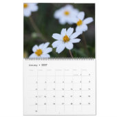 Calendrier fleur sauvage du Texas 2023 (Jan 2027)