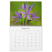 Calendrier - Fleur sauvage - Vue Macro (Jan 2026)