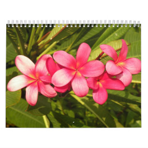 Calendrier Fleurs
