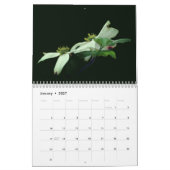 Calendrier Fleurs (Jan 2027)