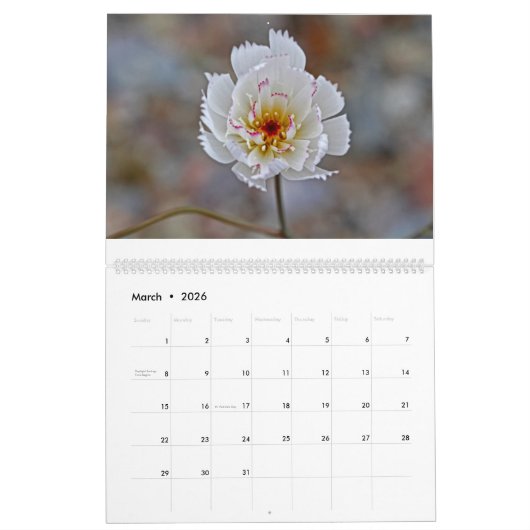 Calendrier Fleurs 2017 (Mar 2026)