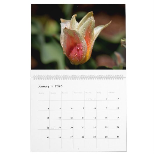 Calendrier Fleurs 2017 (Jan 2026)