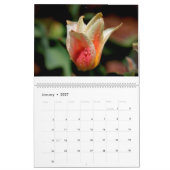 Calendrier Fleurs 2017 (Jan 2027)