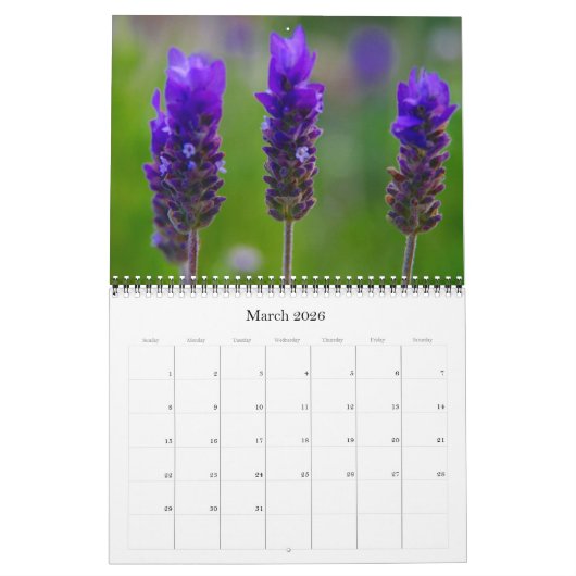 Calendrier fleurs 2025 (Mar 2026)