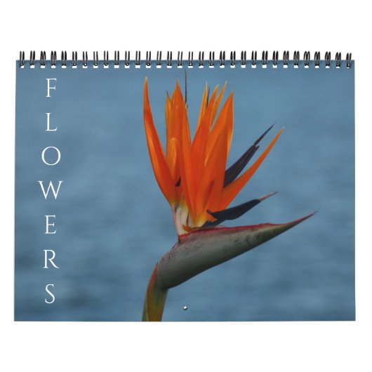 Calendrier fleurs 2027 (Protection)