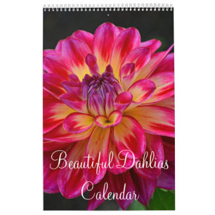 Calendrier Fleurs colorées de dahlia
