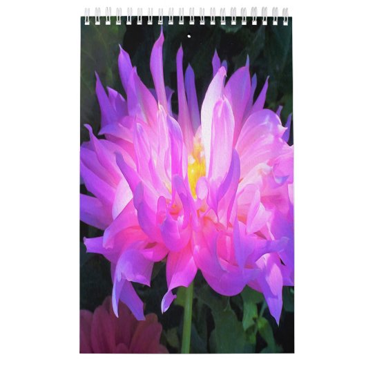 Calendrier Fleurs Dahlia 2023 (Protection)