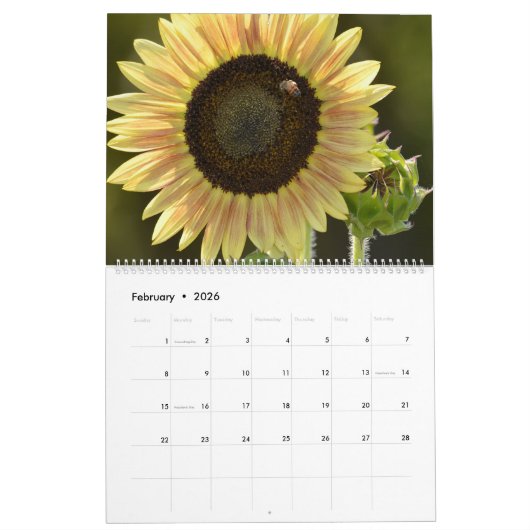 Calendrier Fleurs dans la nature (Feb 2026)