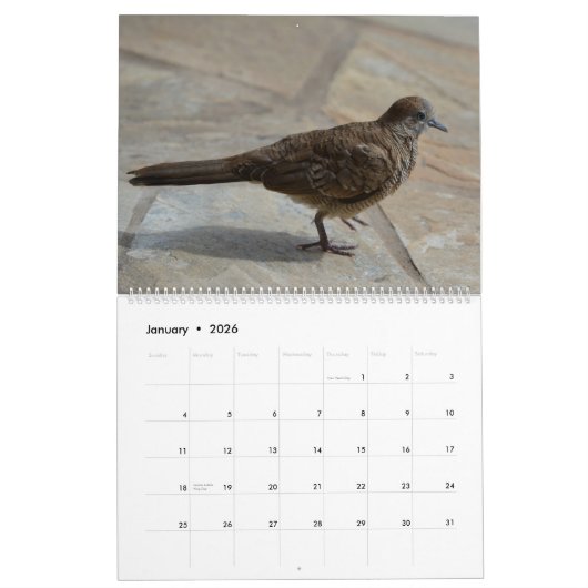 Calendrier Fleurs dans la nature (Jan 2026)