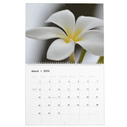 Calendrier Fleurs dans la nature (Mar 2026)