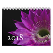 Calendrier Fleurs de cactus (Protection)