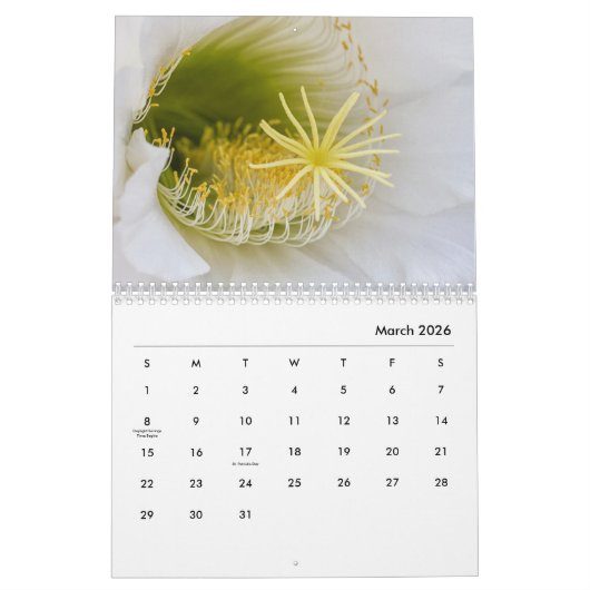 Calendrier Fleurs de cactus (Mar 2026)