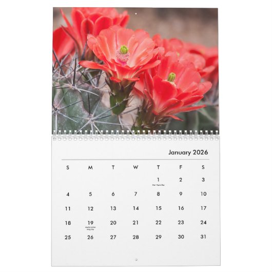 Calendrier Fleurs de cactus (Jan 2026)