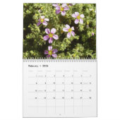 Calendrier Fleurs de désert de Sinai (Feb 2026)