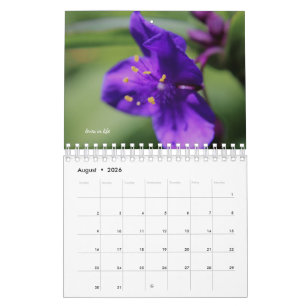 Calendrier Fleurs de jardin violettes