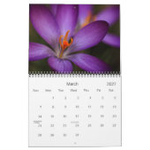 Calendrier Fleurs de la Muse (Mar 2027)