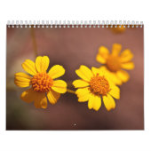 Calendrier Fleurs de l'Arizona (Protection)