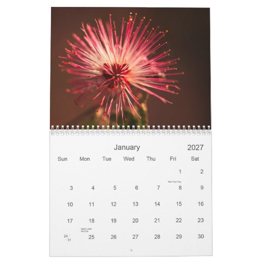 Calendrier Fleurs de l'Arizona (Jan 2027)