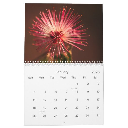 Calendrier Fleurs de l'Arizona (Jan 2026)