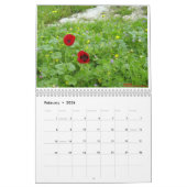 Calendrier Fleurs de l'Israël (Feb 2026)