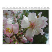 Calendrier Fleurs de l'Israël (Protection)