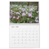 Calendrier Fleurs de l'Israël (Mar 2027)