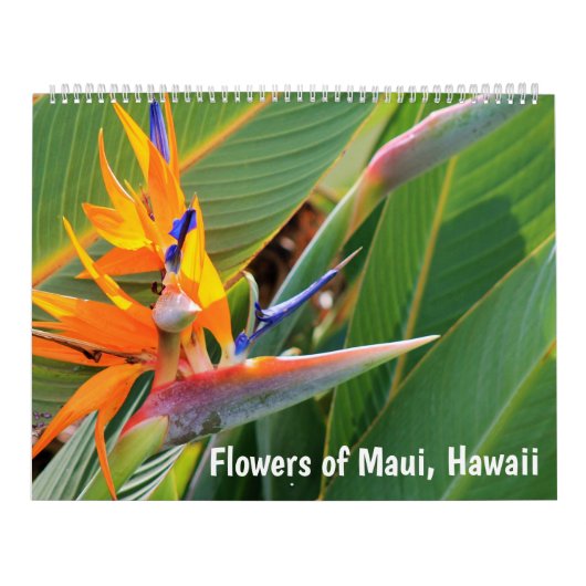 Calendrier Fleurs de Maui Hawaii (Protection)