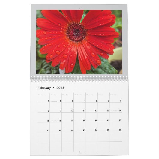 Calendrier Fleurs d'été 2025 (Feb 2026)