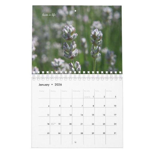Calendrier Fleurs d'été délicates (Jan 2026)