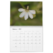 Calendrier Fleurs d'Hawaï (Feb 2027)