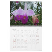 Calendrier Fleurs du Costa Rica (Mar 2027)