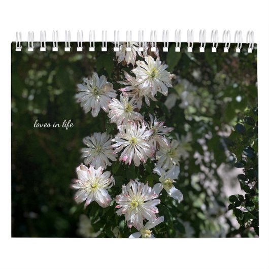 Calendrier Fleurs du jardin blanc (Protection)