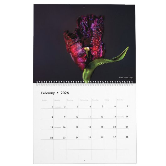 Calendrier Fleurs et oiseaux 2022 (Feb 2026)
