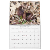 Calendrier Fleurs Galore #1 (Feb 2027)