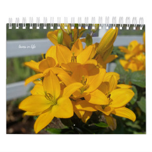 Calendrier Fleurs Jardins Jaunes