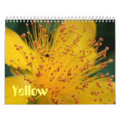 Calendrier Fleurs jaunes (Protection)