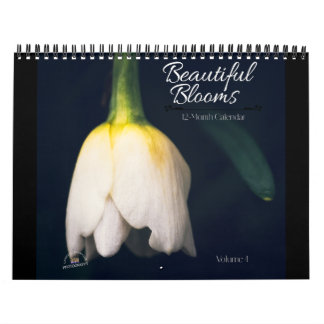 Calendrier Fleurs Magnifiques sur 12 Mois
