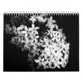 Calendrier fleurs noires et blanches (Protection)