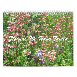 Calendrier - Fleurs que nous avons désignées
