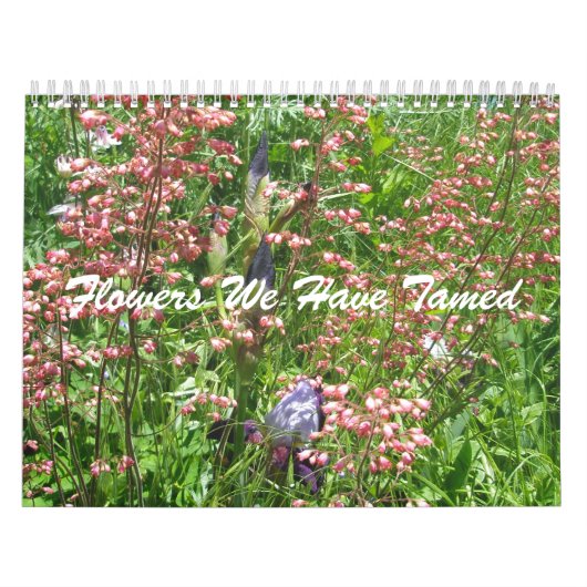 Calendrier - Fleurs que nous avons désignées (Protection)