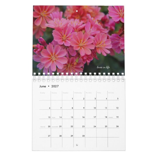 Calendrier Fleurs roses du jardin (Jun 2027)
