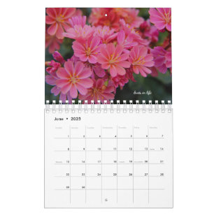 Calendrier Fleurs roses du jardin